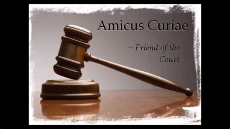 what is amicus curiae